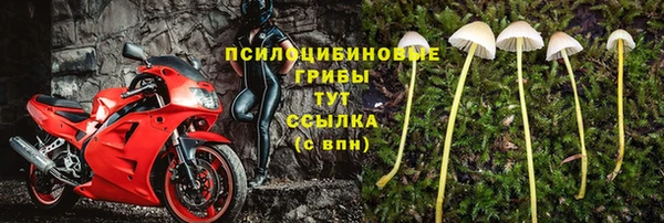 мескалин Заводоуковск